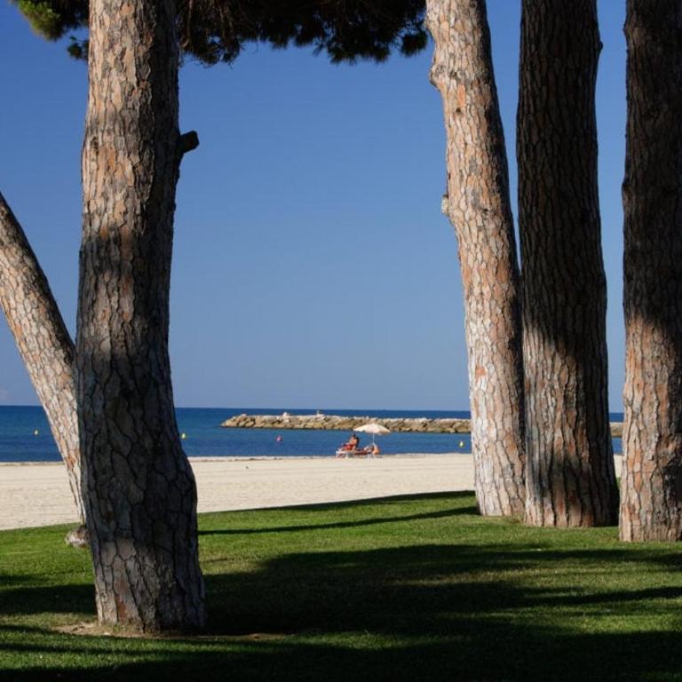 Elegant Beachfront Escape Private & Peaceful - Apartamento de 1 dormitorio - 55