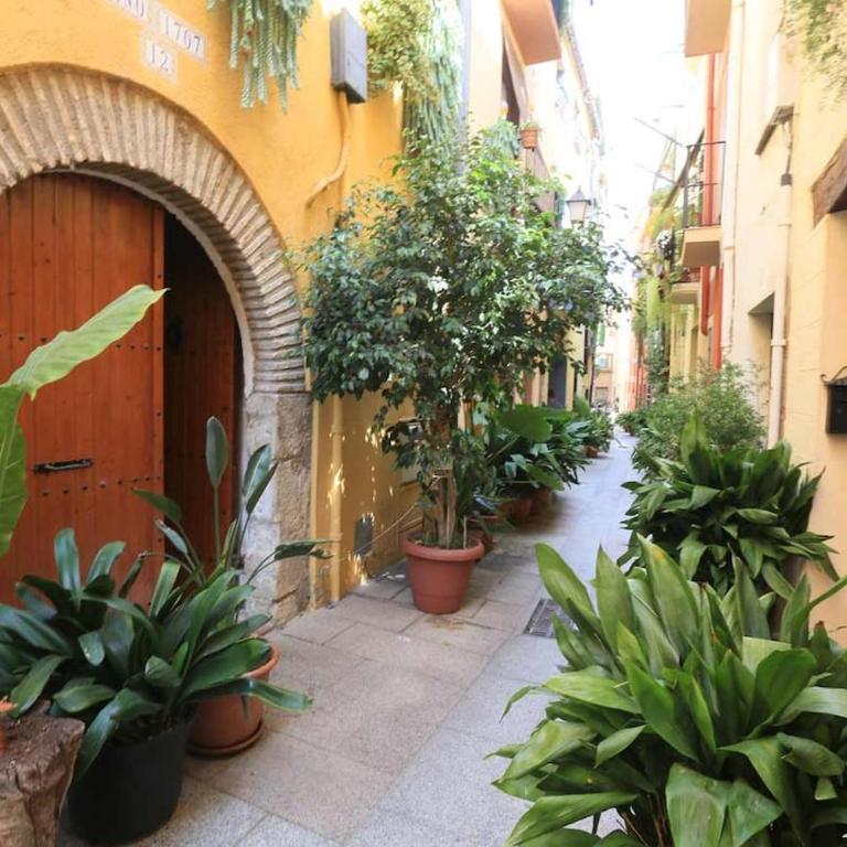 Elegant Beachfront Escape Private & Peaceful - Apartamento de 1 dormitorio - 56