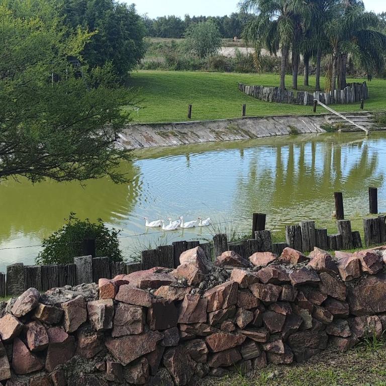 amanecer de RIO y pesca - Suite Familiar - 4