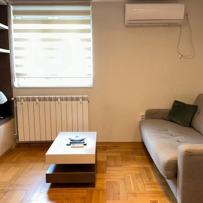 Dorcol apartman - Apartman sa 1 Spavaćom Sobom - 3