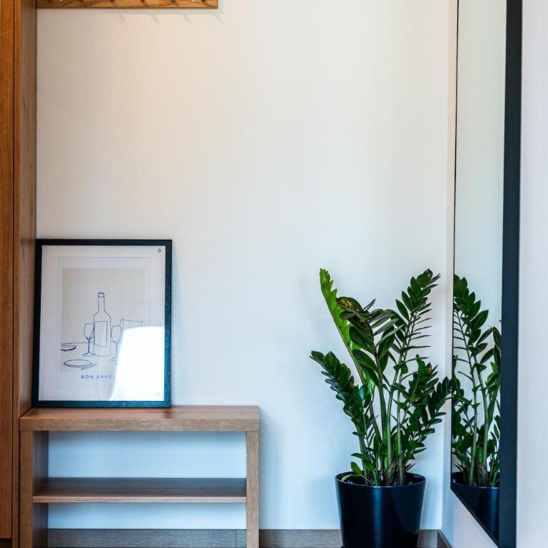 Park Studio 19 - Apartman sa 1 Spavaćom Sobom - 12