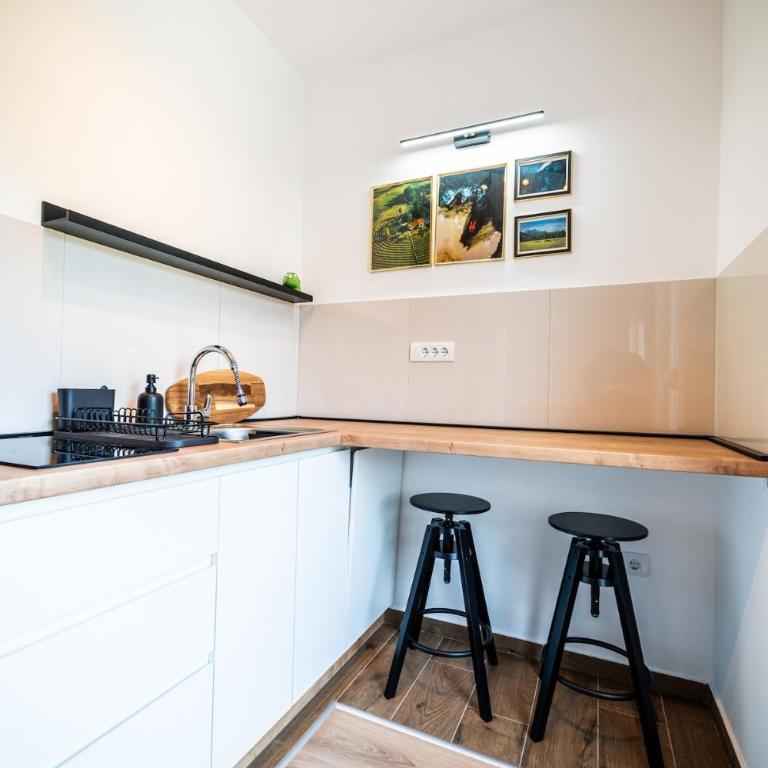 Park Studio 19 - Apartman sa 1 Spavaćom Sobom - 29