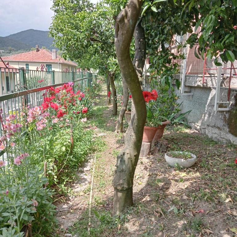 Roses House - Casa con 2 Camere da Letto - 21