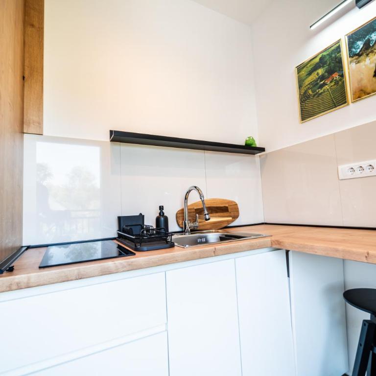Park Studio 19 - Apartman sa 1 Spavaćom Sobom - 5