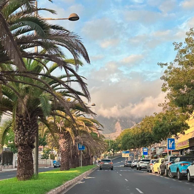 Apartment in Ocean Park, Costa Adeje, Tenerife - One-Bedroom Apartment - 34