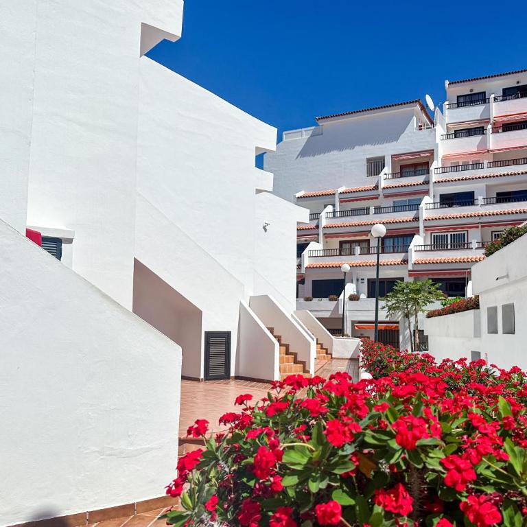 Apartment in Ocean Park, Costa Adeje, Tenerife - One-Bedroom Apartment - 24