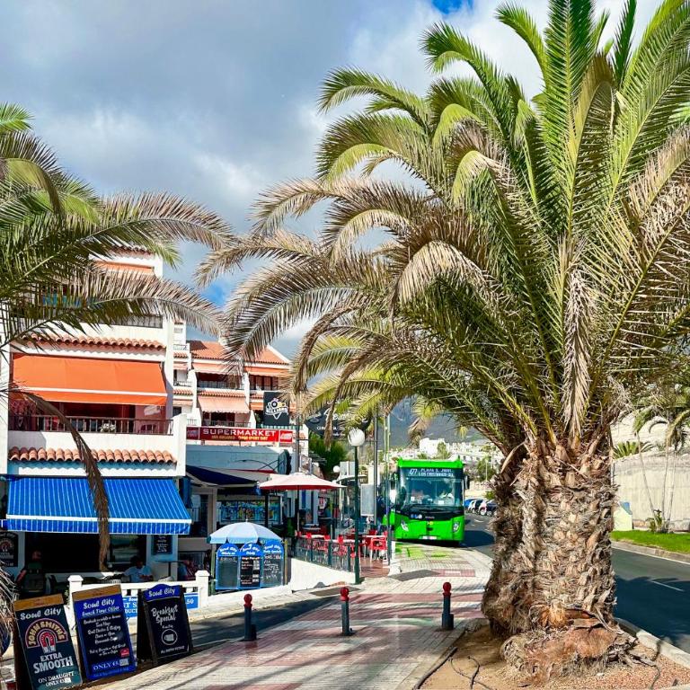 Apartment in Ocean Park, Costa Adeje, Tenerife - One-Bedroom Apartment - 29