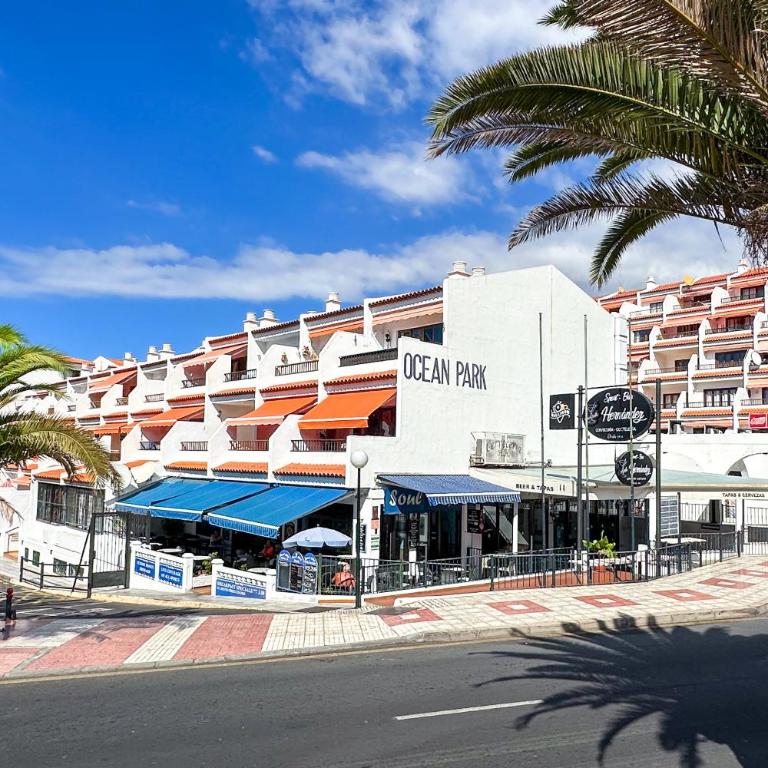 Apartment in Ocean Park, Costa Adeje, Tenerife - One-Bedroom Apartment - 30
