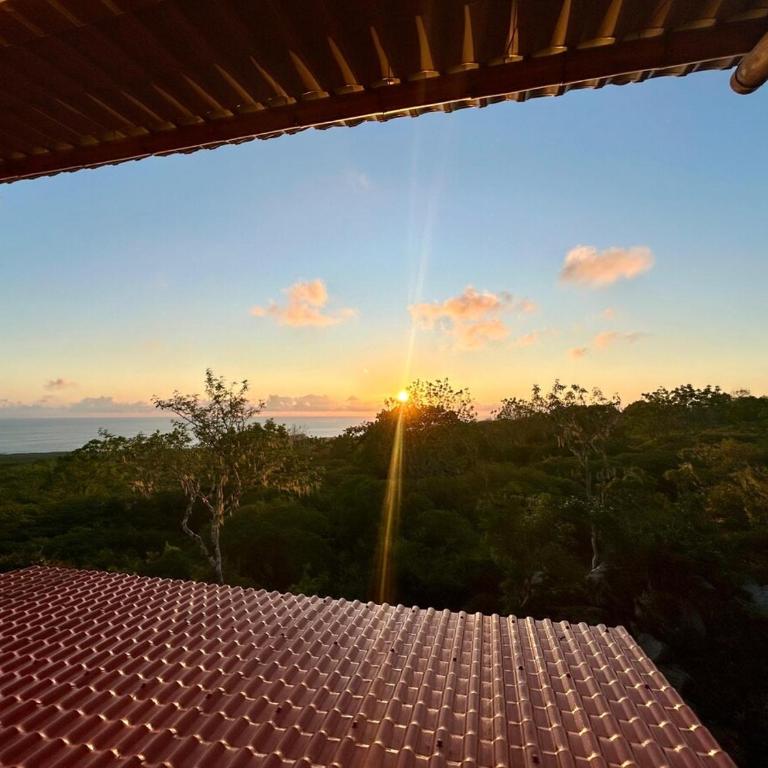 Highland Bamboo Cabin, San Cristóbal Galápagos - Chalet - 9