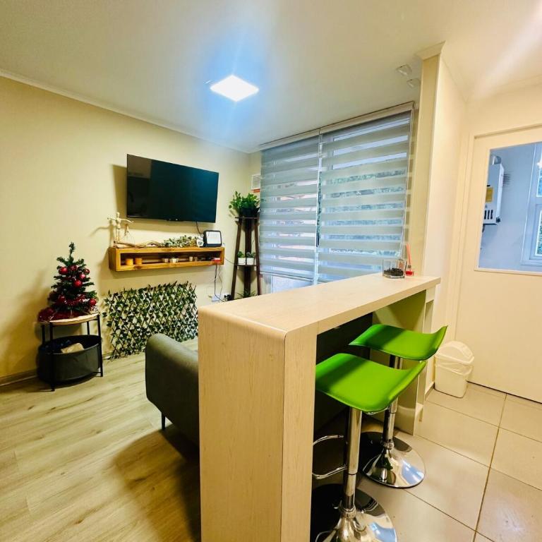 Pucón Apartment - One-Bedroom Apartment - 3