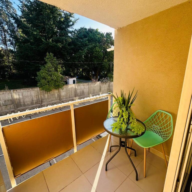Pucón Apartment - One-Bedroom Apartment - 11