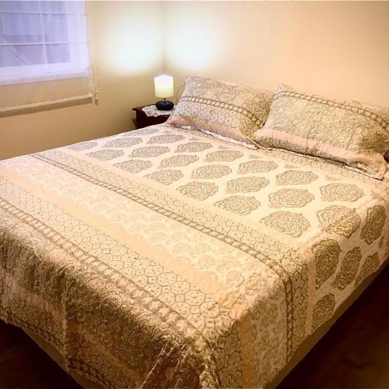 Alojamiento - One-Bedroom Apartment - 1