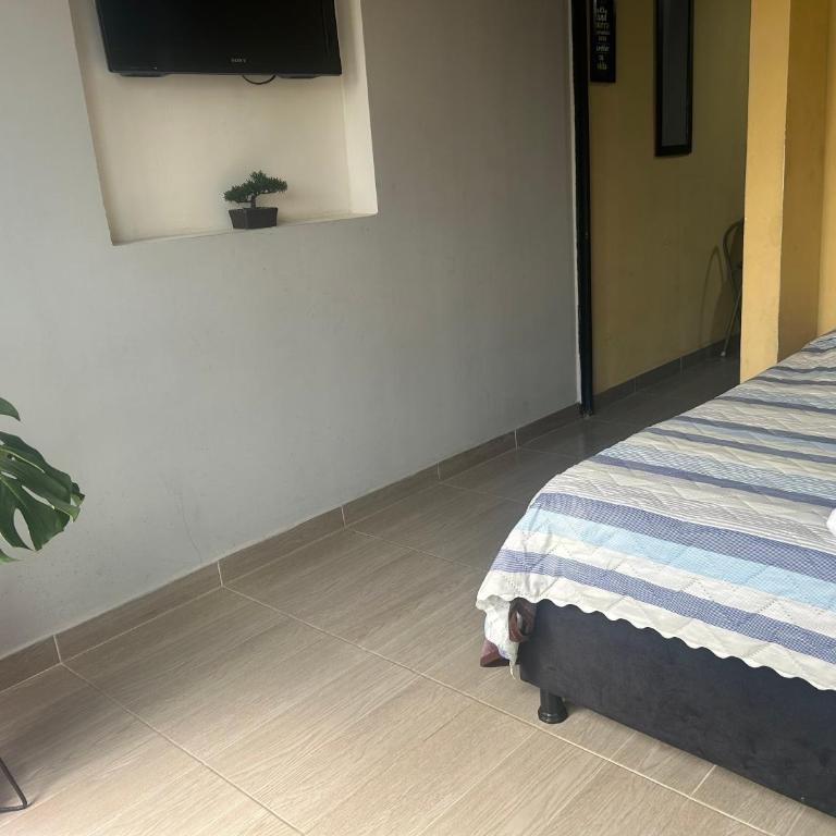 Acogedor y económico - Apartamento de 2 dormitorios - 3