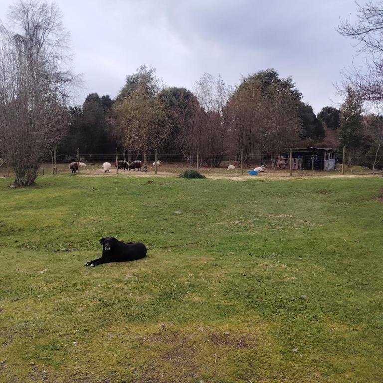 Las curvas de Olivia - Apartamento de 1 dormitorio - 6