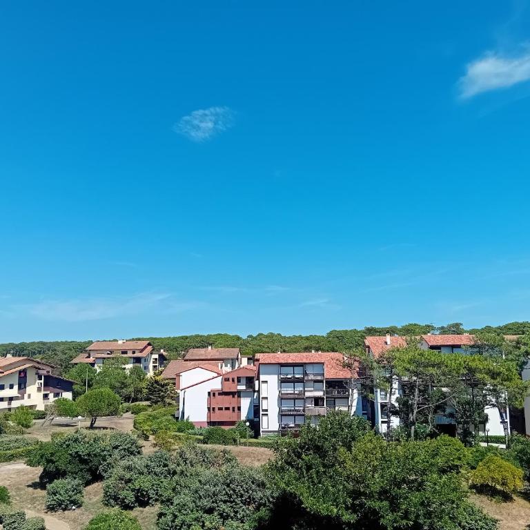 Seignosse Penon - Studio avec alcôve - plages et commerces à pied -Place de parking - Appartement 1 Chambre - 14