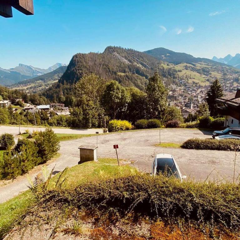 Charmant T2 à La Clusaz avec belle terrasse - FR-1-459-247 - Apartment - 10
