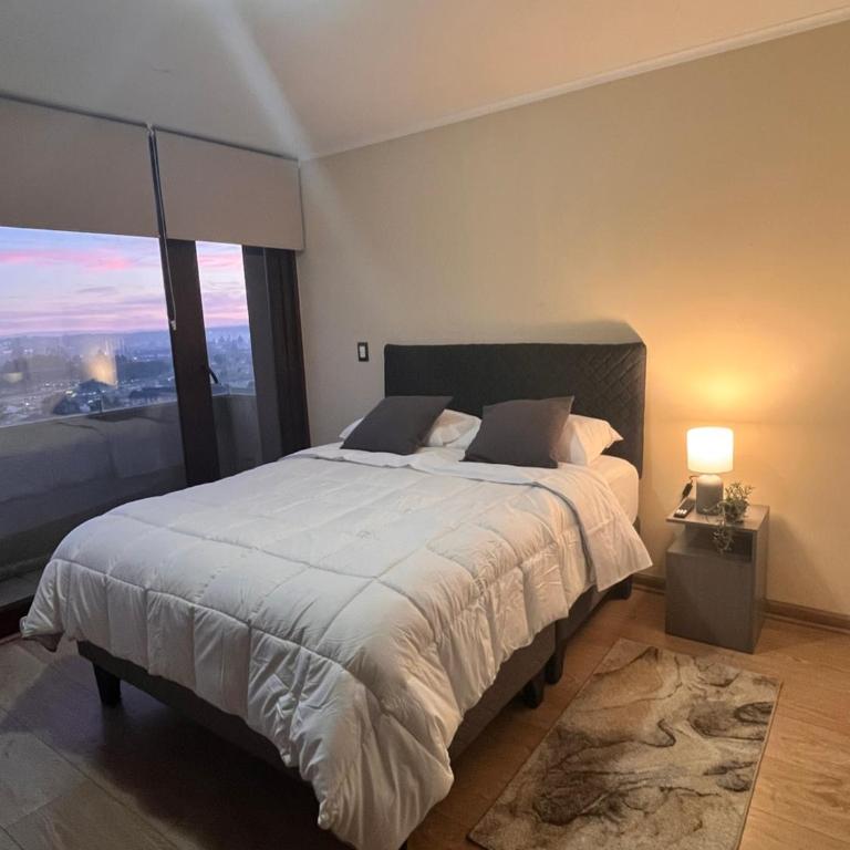 Departamento centro temuco - One-Bedroom Apartment - 2