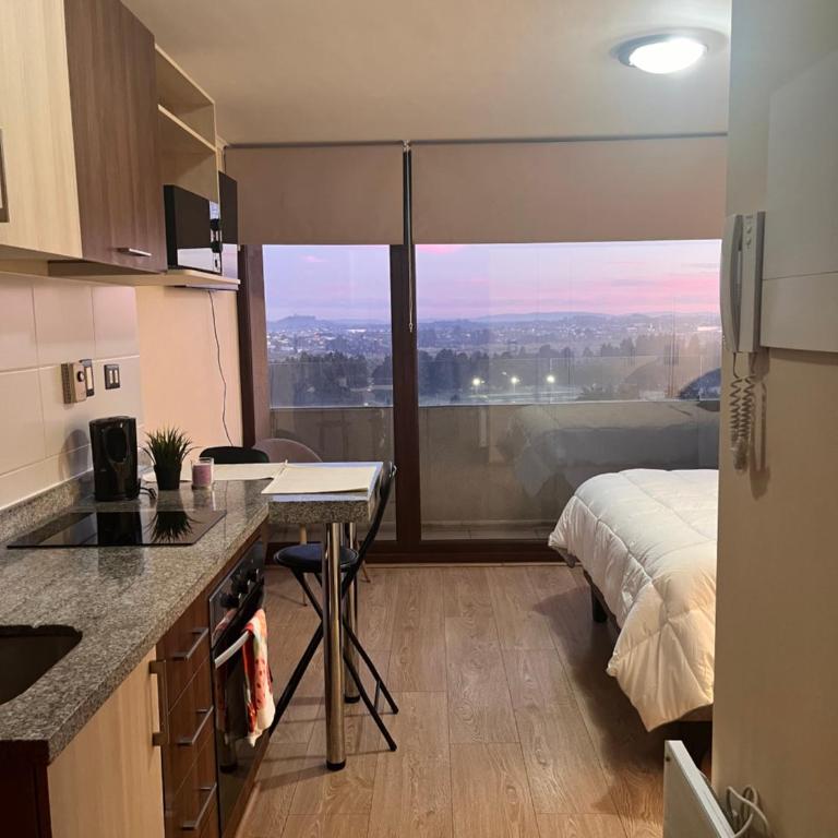 Departamento centro temuco - One-Bedroom Apartment - 7