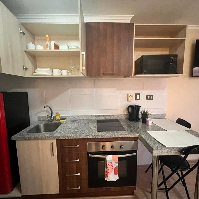 Departamento centro temuco - One-Bedroom Apartment - 10