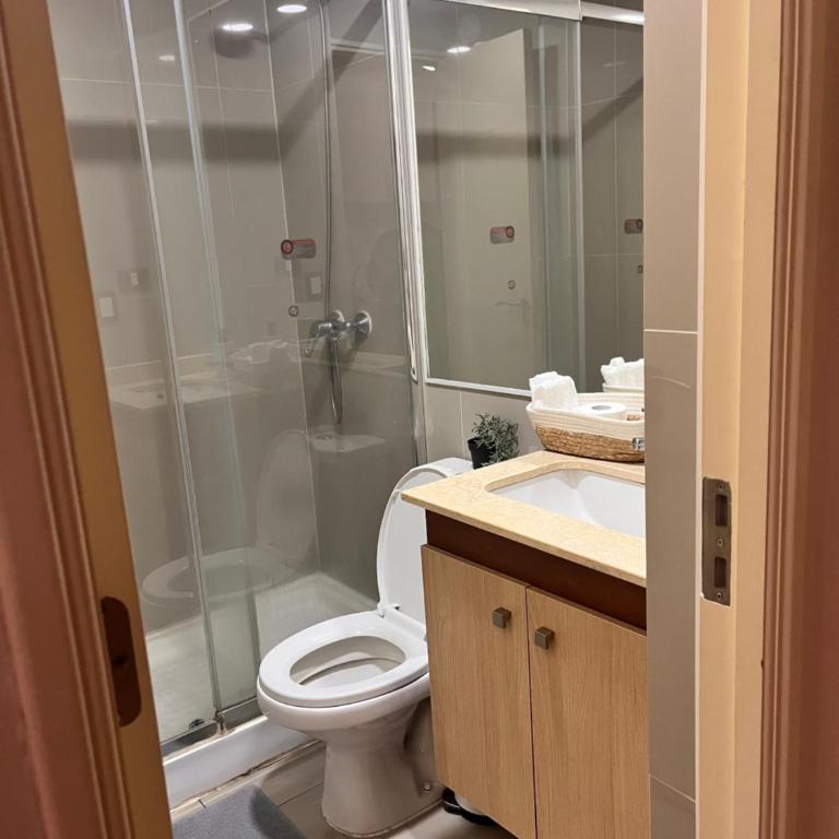 Departamento centro temuco - One-Bedroom Apartment - 12