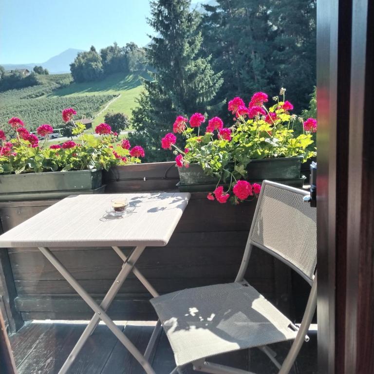 Waldfrieden - Chambre Double avec Balcon - 7
