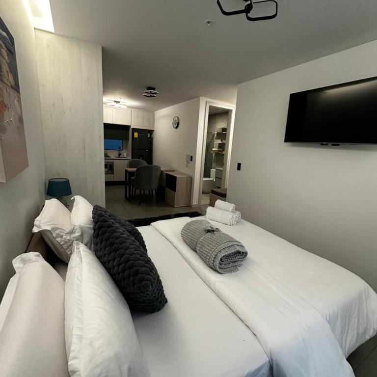 Suite Equipada Parque la Carolina - One-Bedroom Apartment - 5