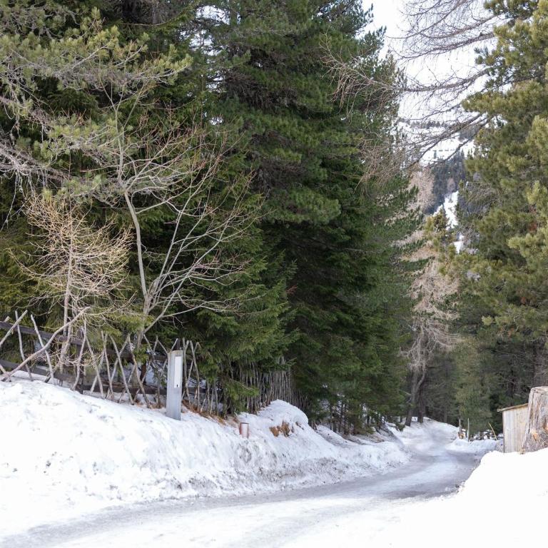 Chalet in Turracher Höhe bei Skipisten - Ferienhaus mit 3 Schlafzimmern - 32