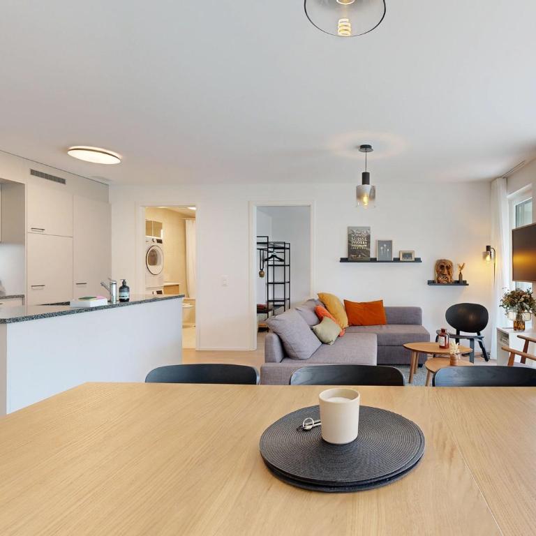 Bright flat with terrace in Sierre - Apartment mit 1 Schlafzimmer - 9