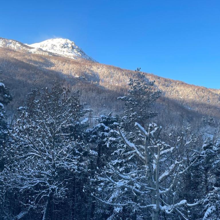 Hébergement 4 étoiles Accès Pied des Pistes en Navette Gratuite - Maison de Vacances 3 Chambres - 47