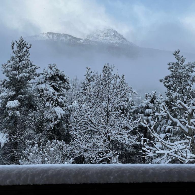 Hébergement 4 étoiles Accès Pied des Pistes en Navette Gratuite - Maison de Vacances 3 Chambres - 49