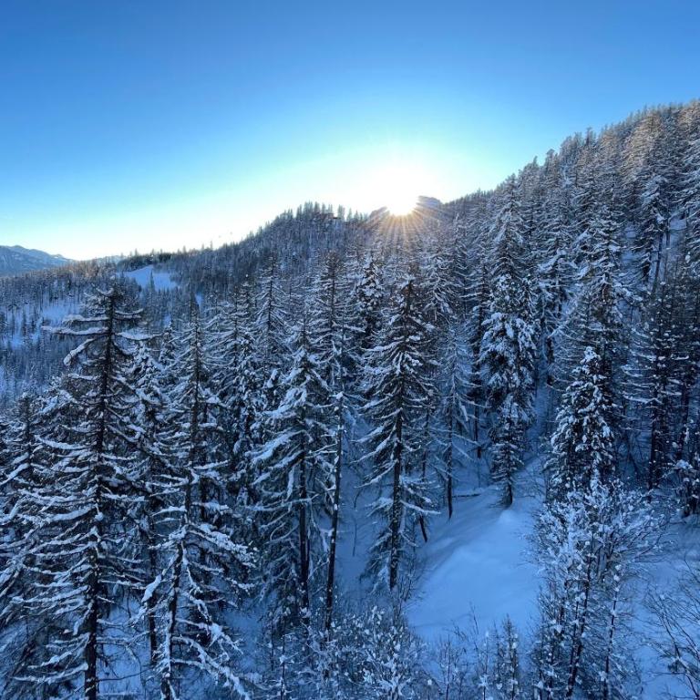 Hébergement 4 étoiles Accès Pied des Pistes en Navette Gratuite - Maison de Vacances 3 Chambres - 53