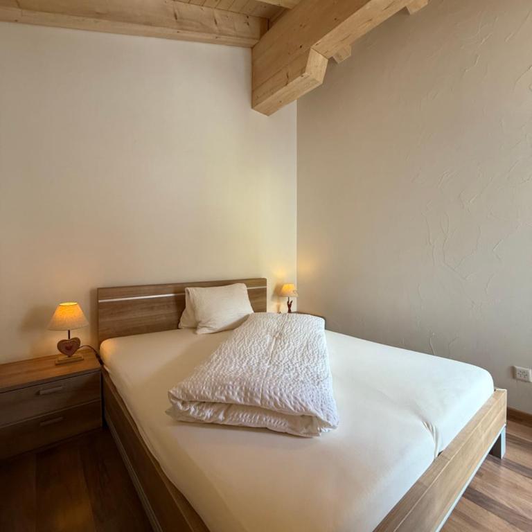Bergquelle Dachwohnung - Apartment mit Blick auf die Berge - 10
