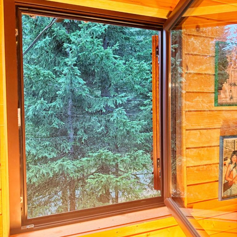 Kolibica - One-Bedroom Chalet - 12