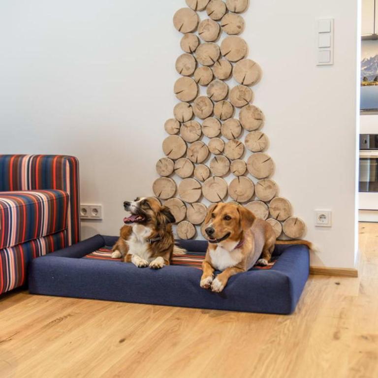 Almfrieden Hotel & Romantikchalet - Standard Apartment - 1