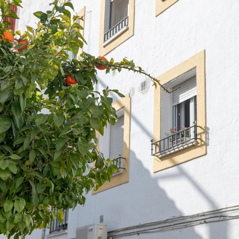 Nayber Gavia - Nuevo y centrico apartamento en Cordoba - Appartement 3 Chambres - 29