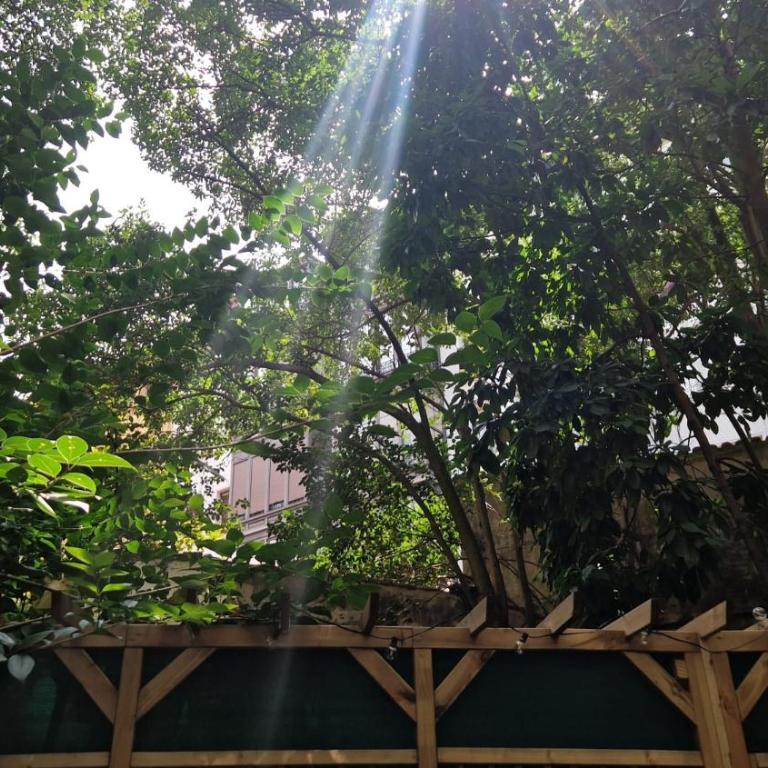 Unique location - 130m2 & Garden close to Museums - Apartment - 17