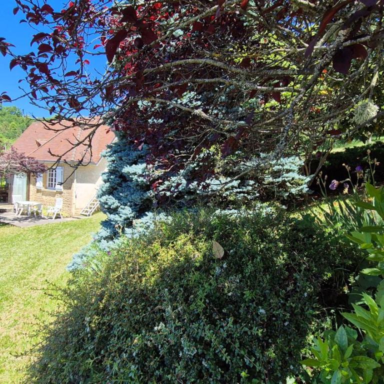 Nise à Sarlat sur les hauteurs - Casa - 4