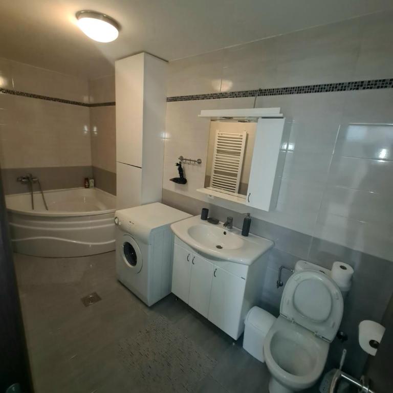 Fantastic Belgrade Nights II - Two-Bedroom Apartment - 11