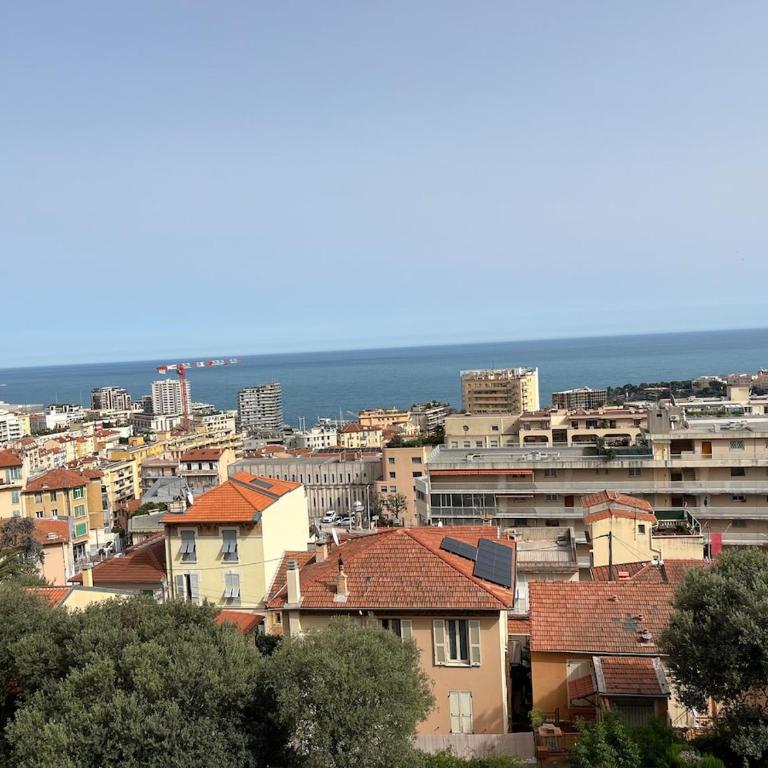 2 room renovated sea view, near Monaco - Appartement 1 Chambre - 3