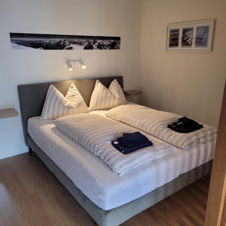 Modern, central 2-room apartment near Titlis lift - Apartment mit Blick auf die Berge - 2
