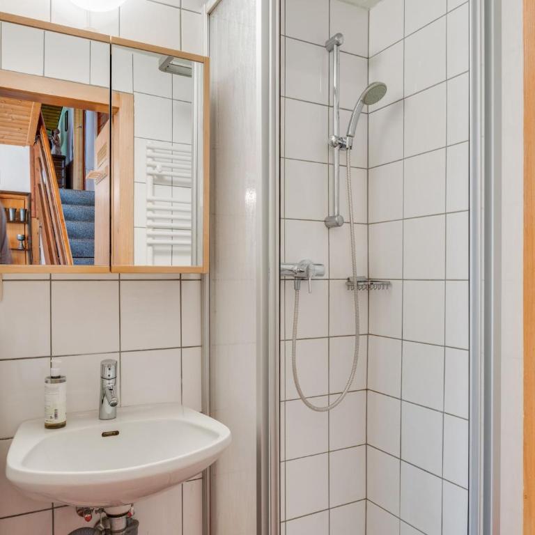 Chalet in Maishofen near Ski Slopes - Chalet mit 3 Schlafzimmern - 27
