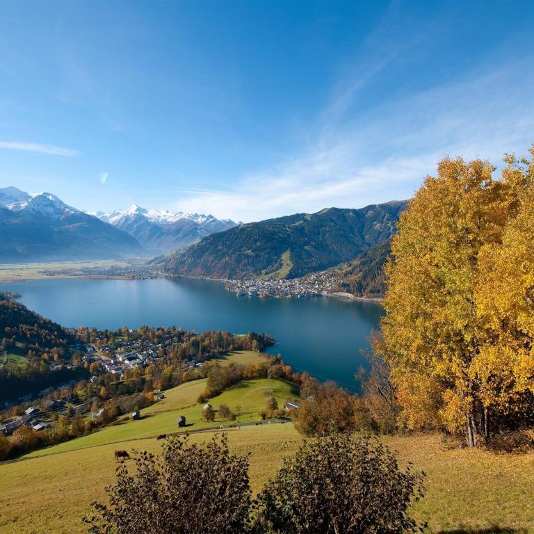 Chalet in Maishofen near Ski Slopes - Chalet mit 3 Schlafzimmern - 36