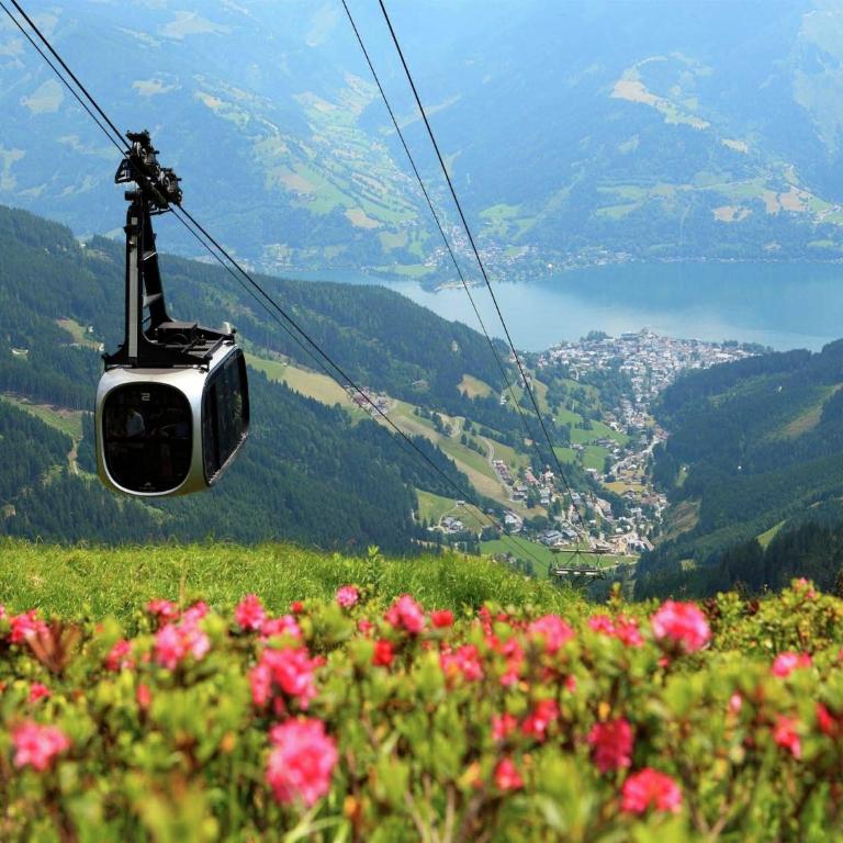 Chalet in Maishofen near Ski Slopes - Chalet mit 3 Schlafzimmern - 35