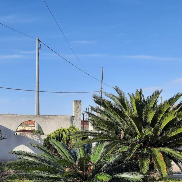 West Sicily Beach - Casa con 3 Camere da Letto - 11