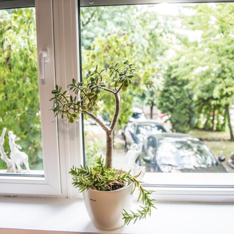 Kirsche Apartment - 85 sqm - Free parking - Two-Bedroom Apartment - 14