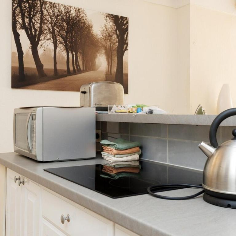 Le Meynadier Center-Festival-Clim-WiFi - Apartment mit 2 Schlafzimmern - 9