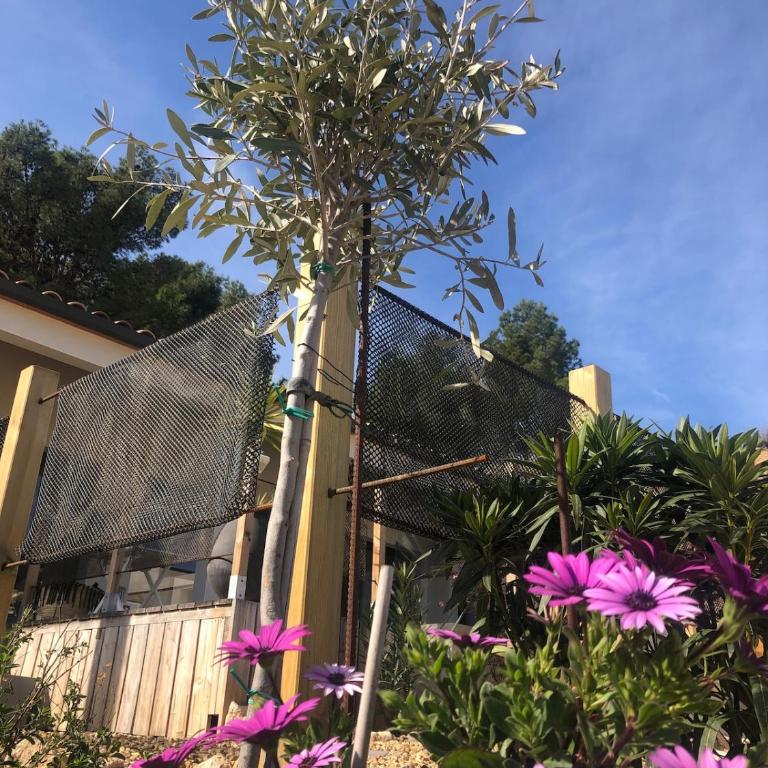 Agave villa piscine - Villa avec Piscine Privée - 52