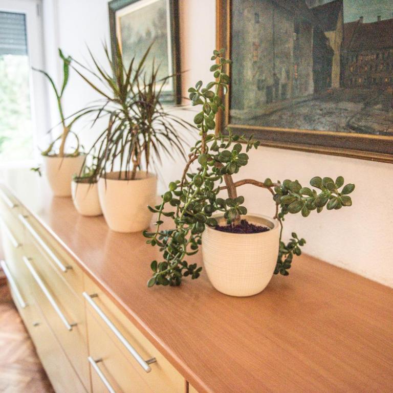 Kirsche Apartment - 85 sqm - Free parking - Two-Bedroom Apartment - 28