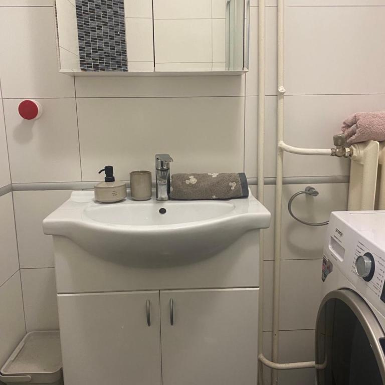 Zvezda-centar NS - Apartman sa 1 Spavaćom Sobom - 6