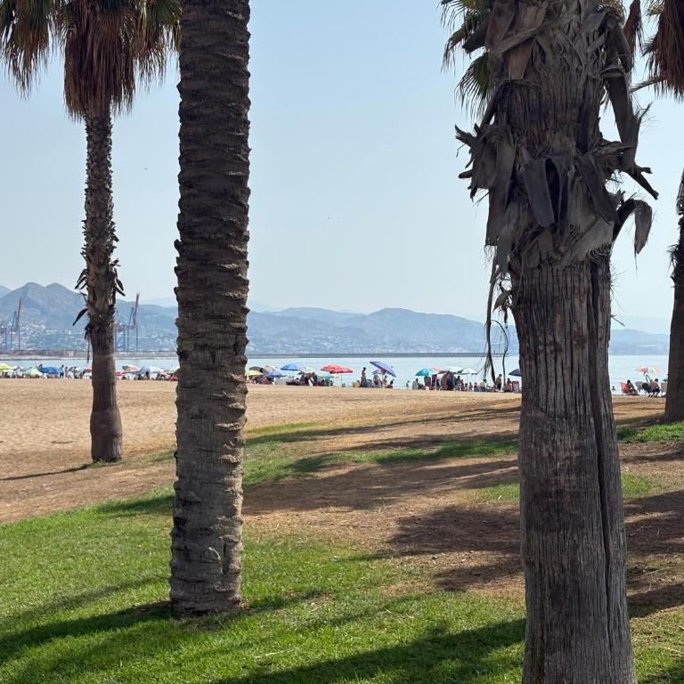 Te gustara mas Malaga - Apartamento Estudio - 3